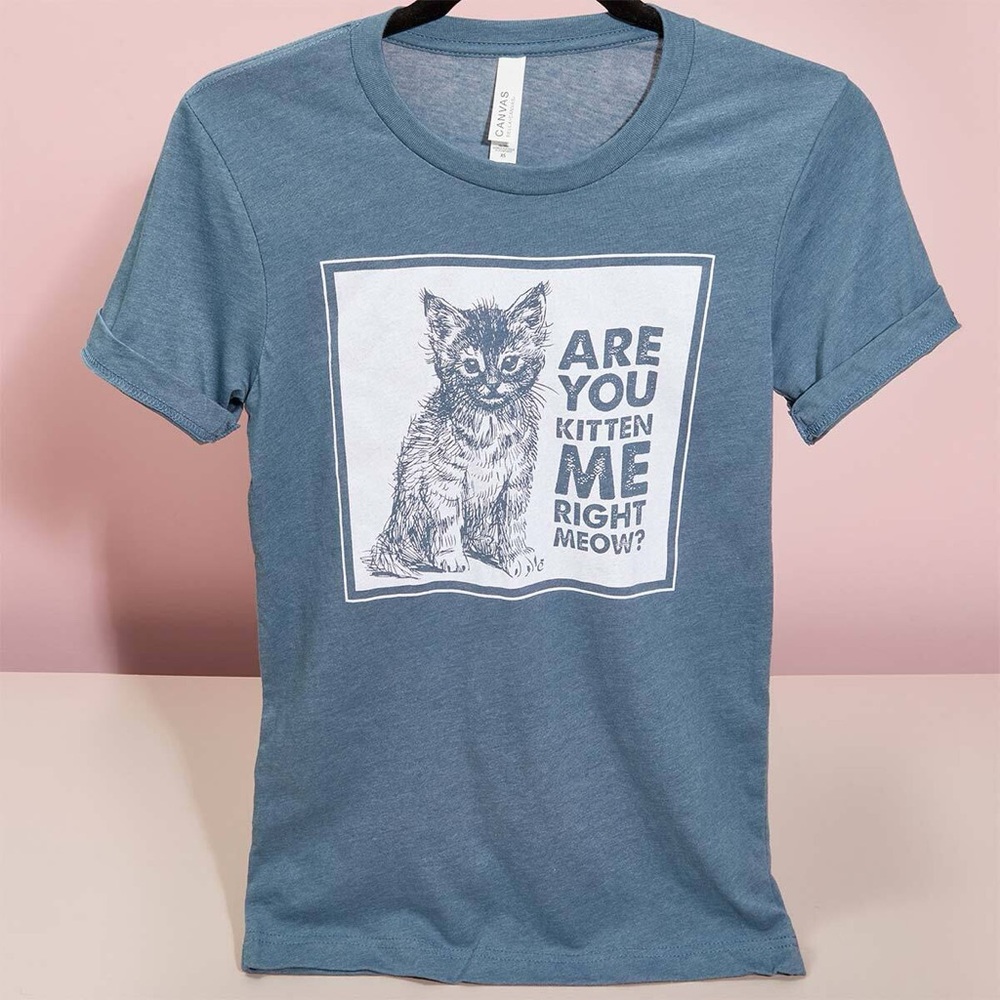 Cat Lady Small Blue Cat Shirt “Are You Kitten Me Right Meow” NEVER WORN